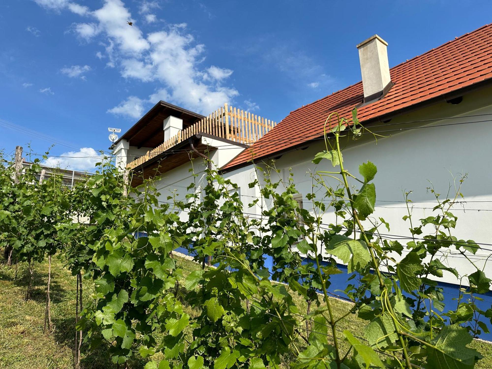 Nad Slovackym Sklipkem Villa Tupesy Exterior photo